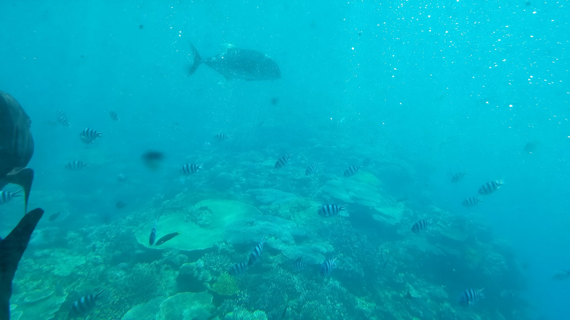 【マリンワールド海の中道】九州の海をテーマにした大人も楽しめる水族館。当館より車で30分。