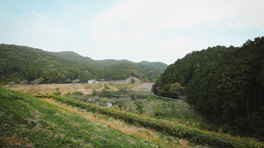 【景観】大自然に囲まれた河内ダム湖畔の静かな宿です