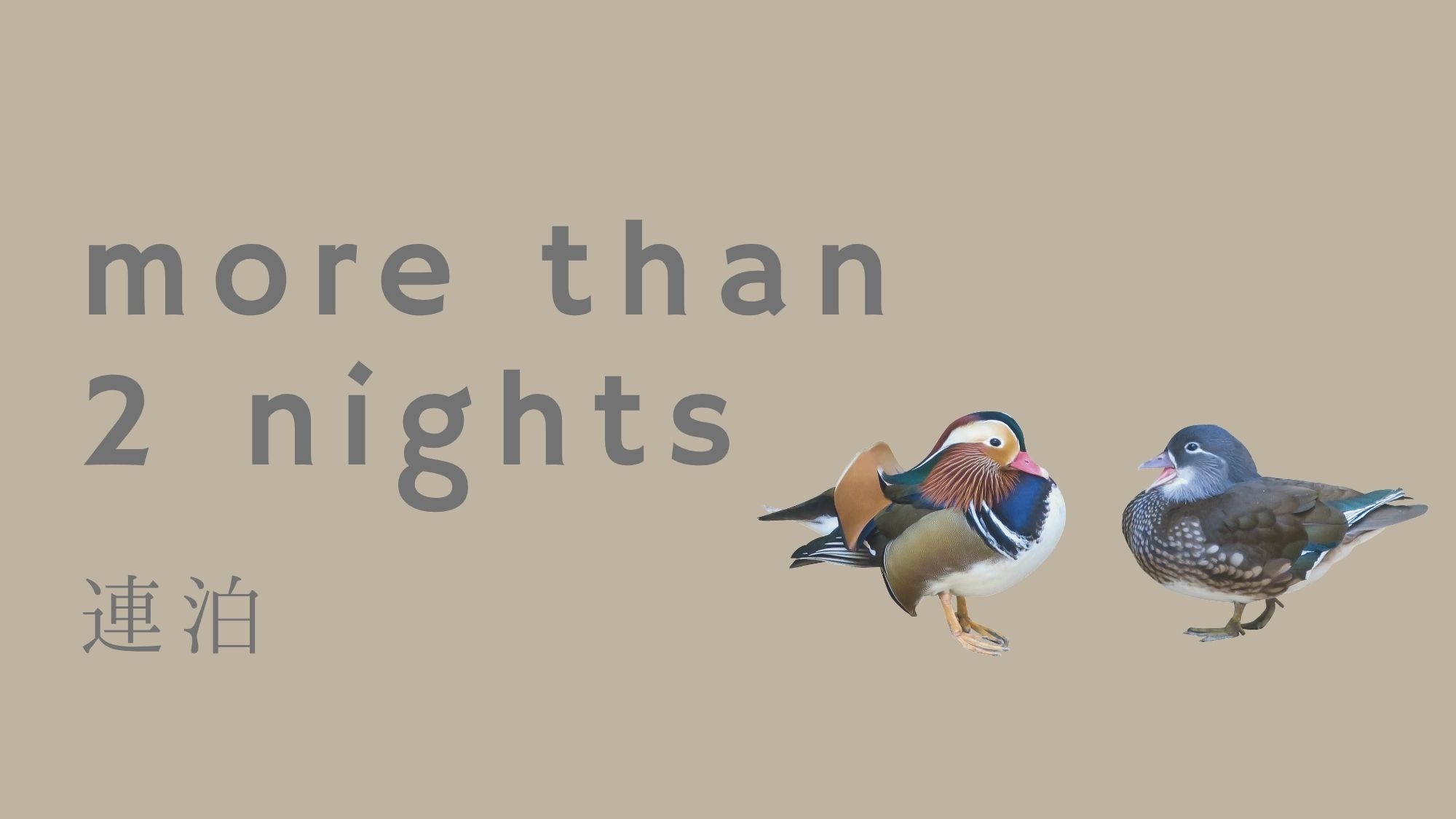 【連泊割／全室】2泊以上のご滞在でおトクに｜素泊まり・セルフチェックイン