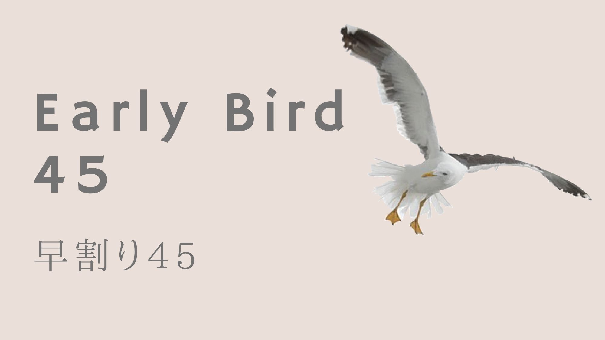 【早割り45／全室】早めのご予約でおトクに｜素泊まり・セルフチェックイン