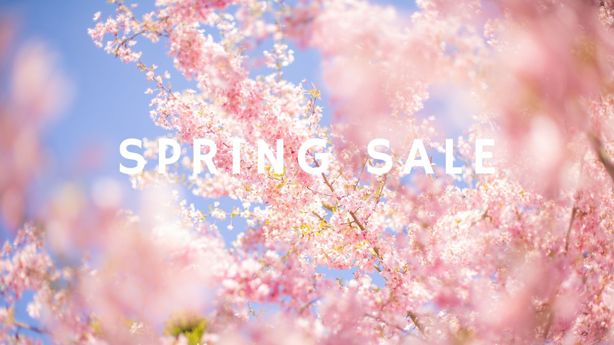 【春SALE】夏以降のご宿泊をさらにおトクに予約｜素泊まり・セルフチェックイン