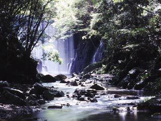 ☆特典付☆グループで★うきうき★セルフプラン