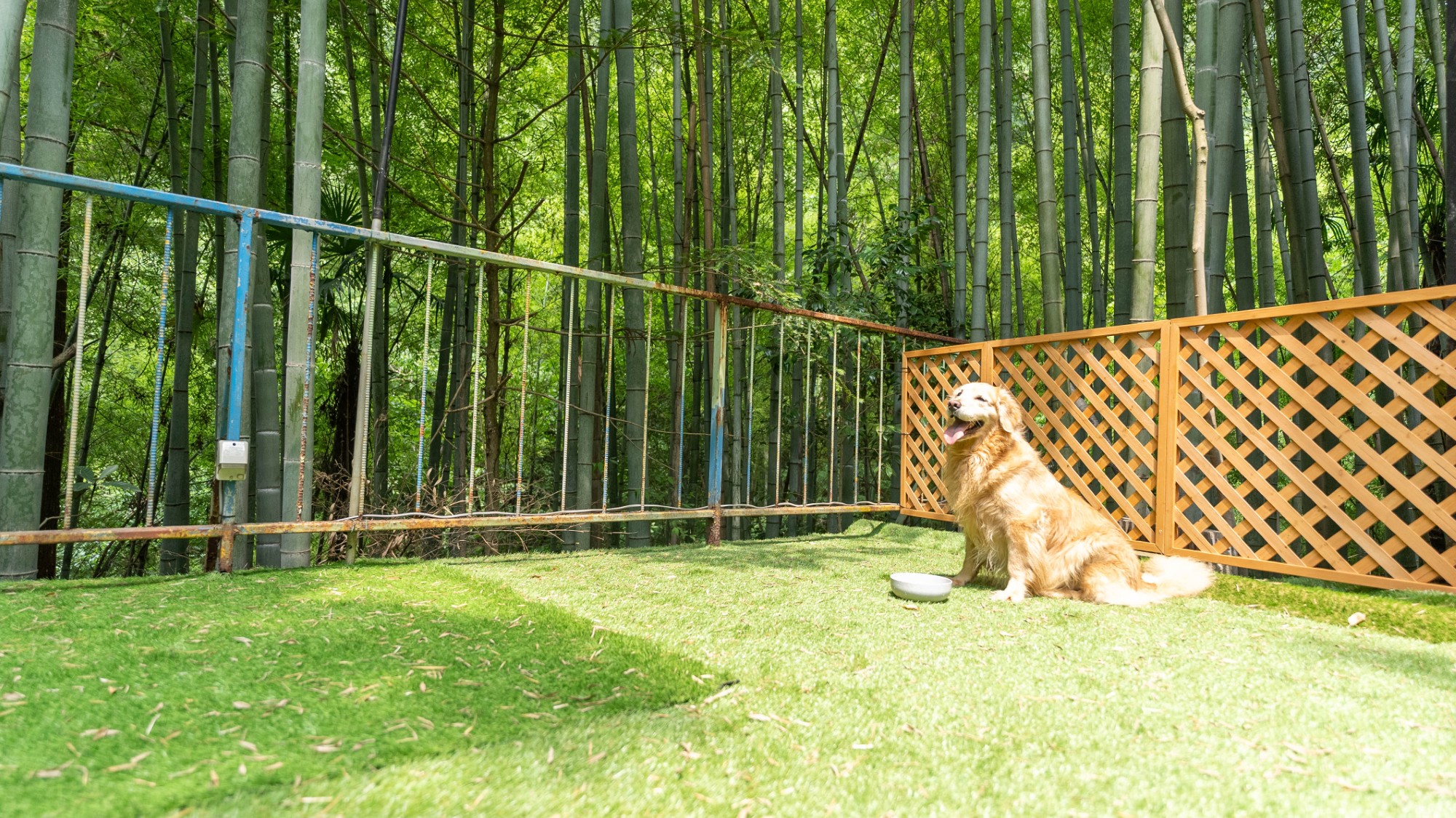 ［DOG&times;STAY］