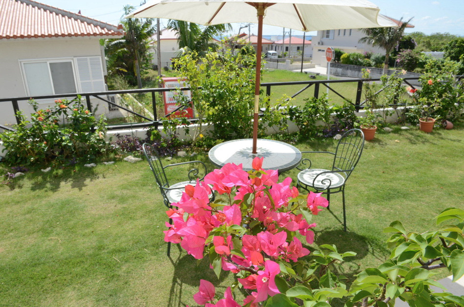Bougainvillea in the courtyard