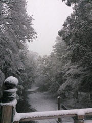 雪化粧した伊勢神宮