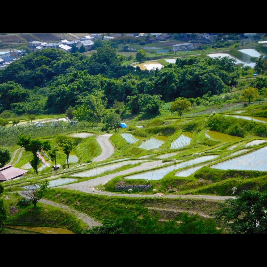 写真6
