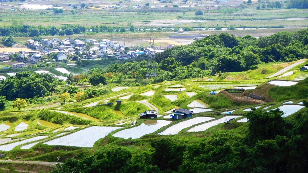 【訳あり1000円引】【グレードアップ】《月歌御膳》とろけるタンシチューを堪能【1泊2食付】