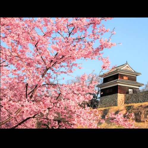 ■上田城　桜