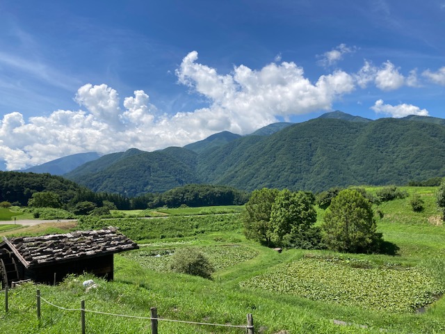 山登り