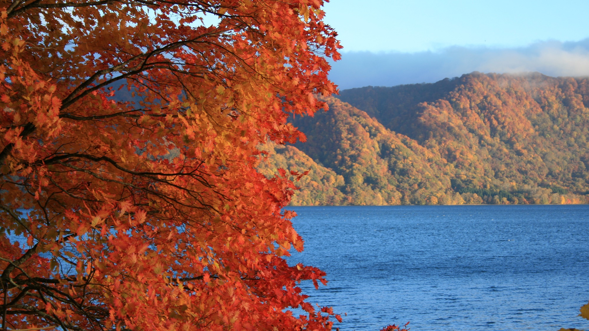 *美しい紅葉と十和田湖のコラボレーション★ぜひ写真に納めてくださいね。