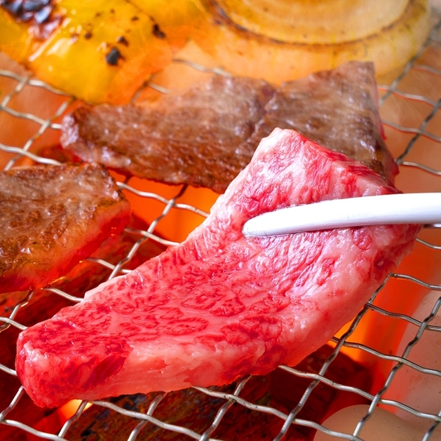 【ブランド肉BBQ】お肉の質にこだわった！熊野牛・梅豚・みかんどり紀州ブランド肉を食べ比べ＜朝夕付＞