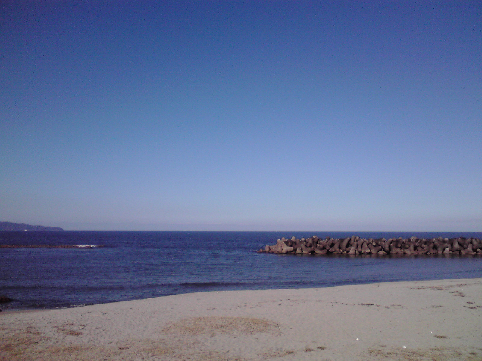 晴れた日の海岸は最高のお散歩コースに♪