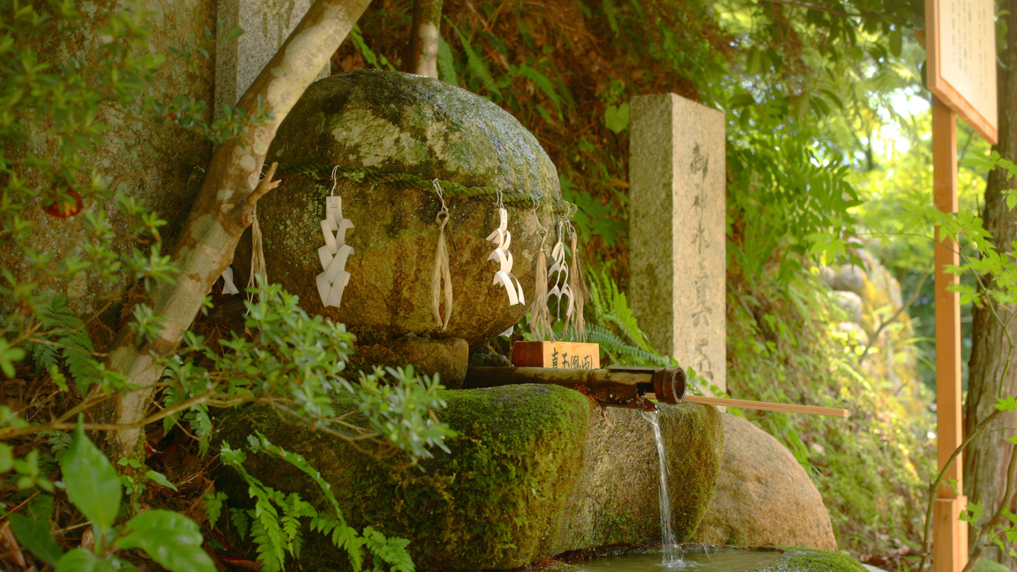 〇玉作湯神社「願い石」