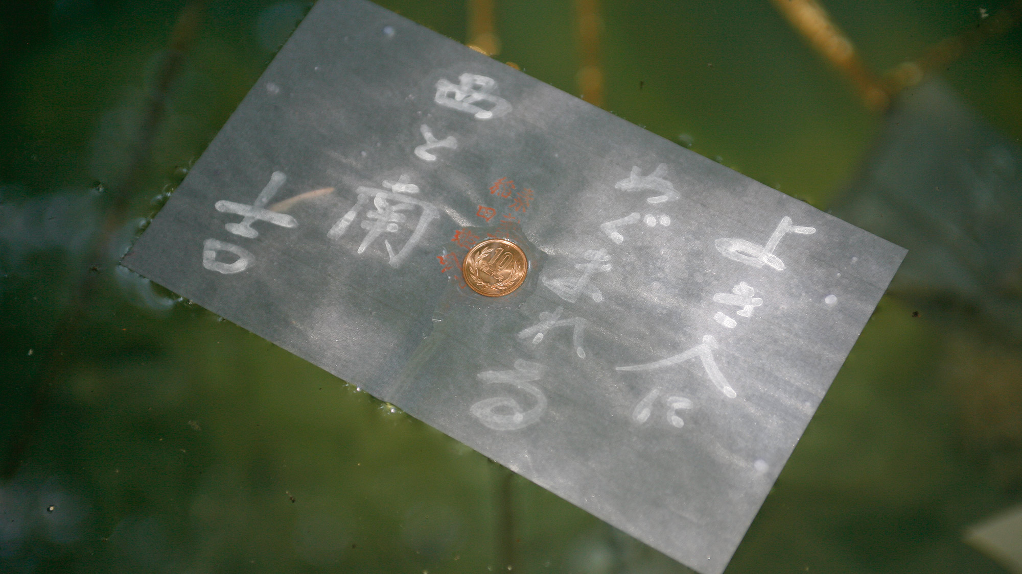 〇八重垣神社「鏡の池」