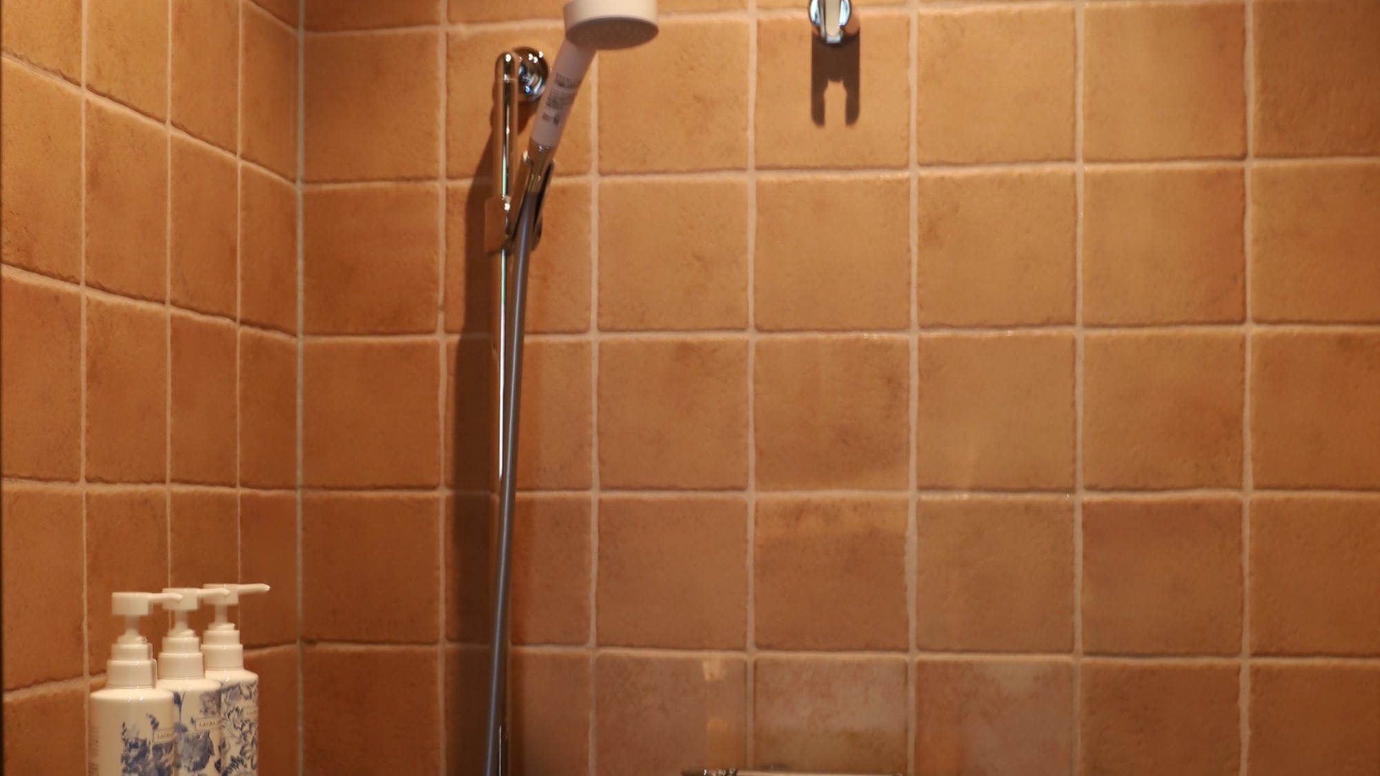 【離れ　ザ・ハウス】シャワー