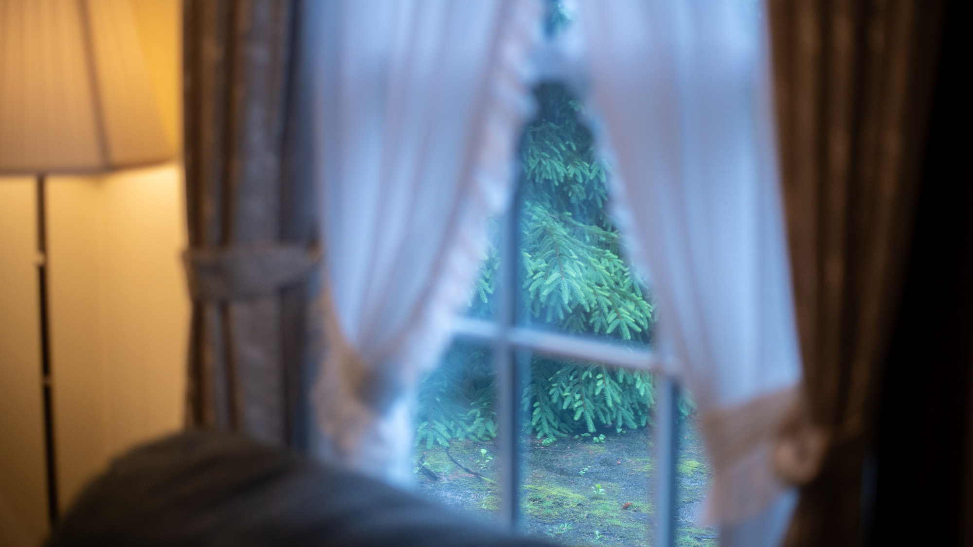 【ダブル】テラスに遊びに来た小鳥のさえずりが聞こえます。