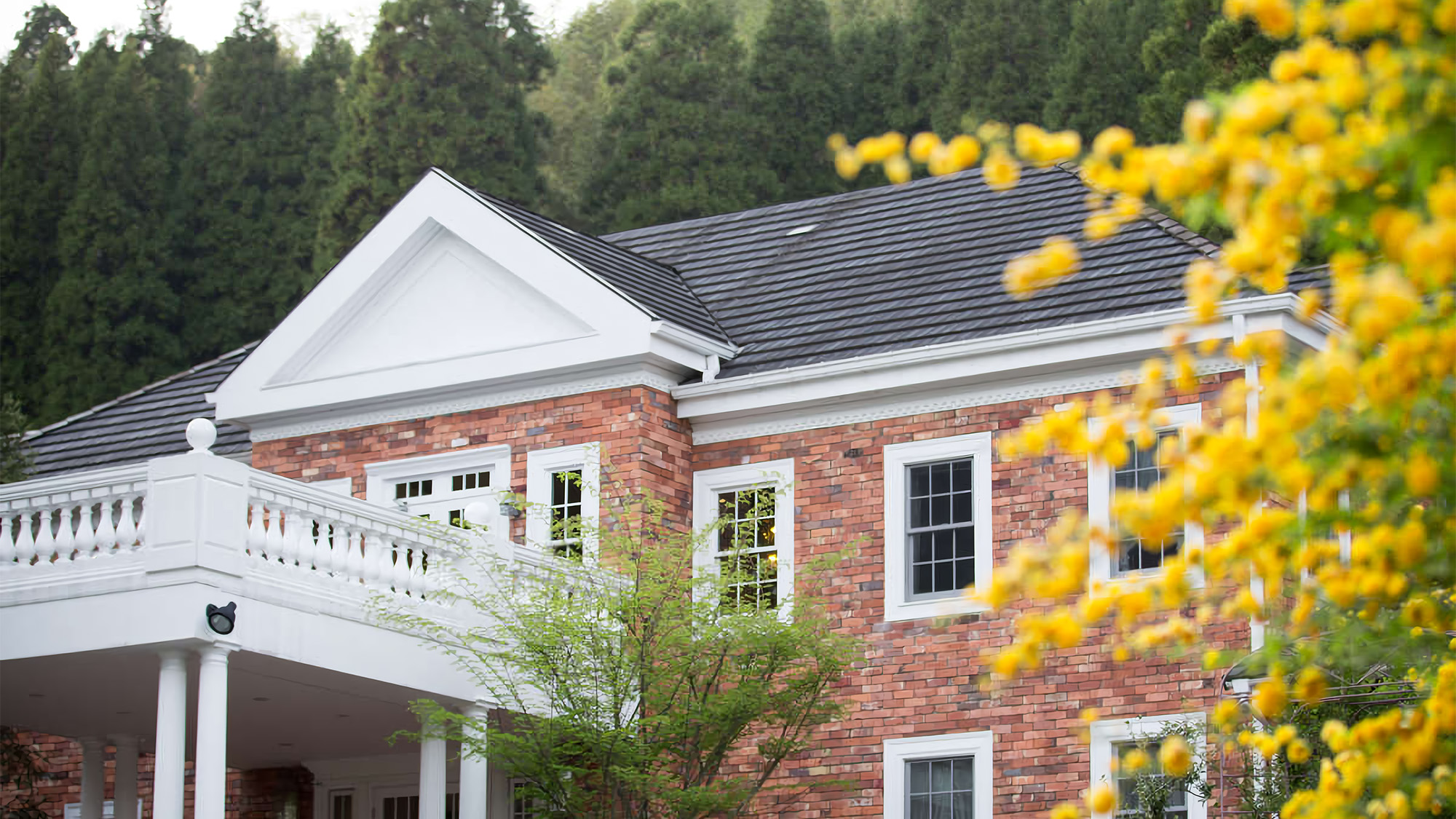 【ホテル外観】森のテラス