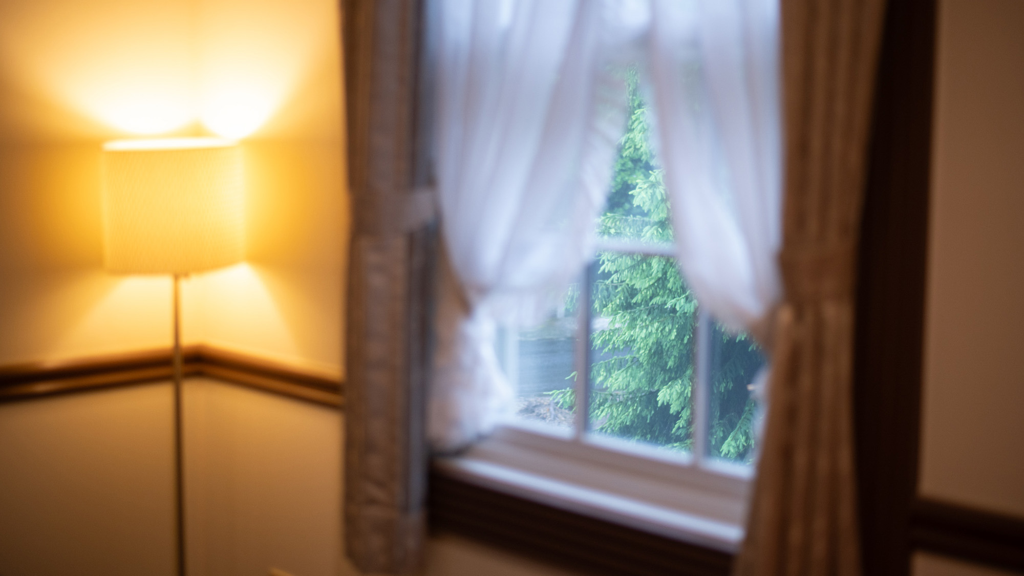 【ツイン一例】窓からの景色にも癒されて