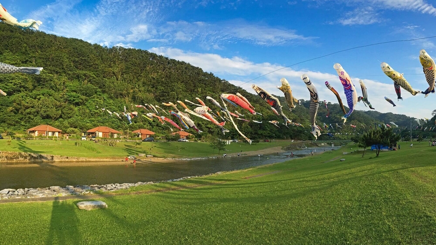 ◆【期間限定】奥やんばるの川の上空に舞う700匹の鯉のぼり。ゴールデンウィークの山原の風物詩。