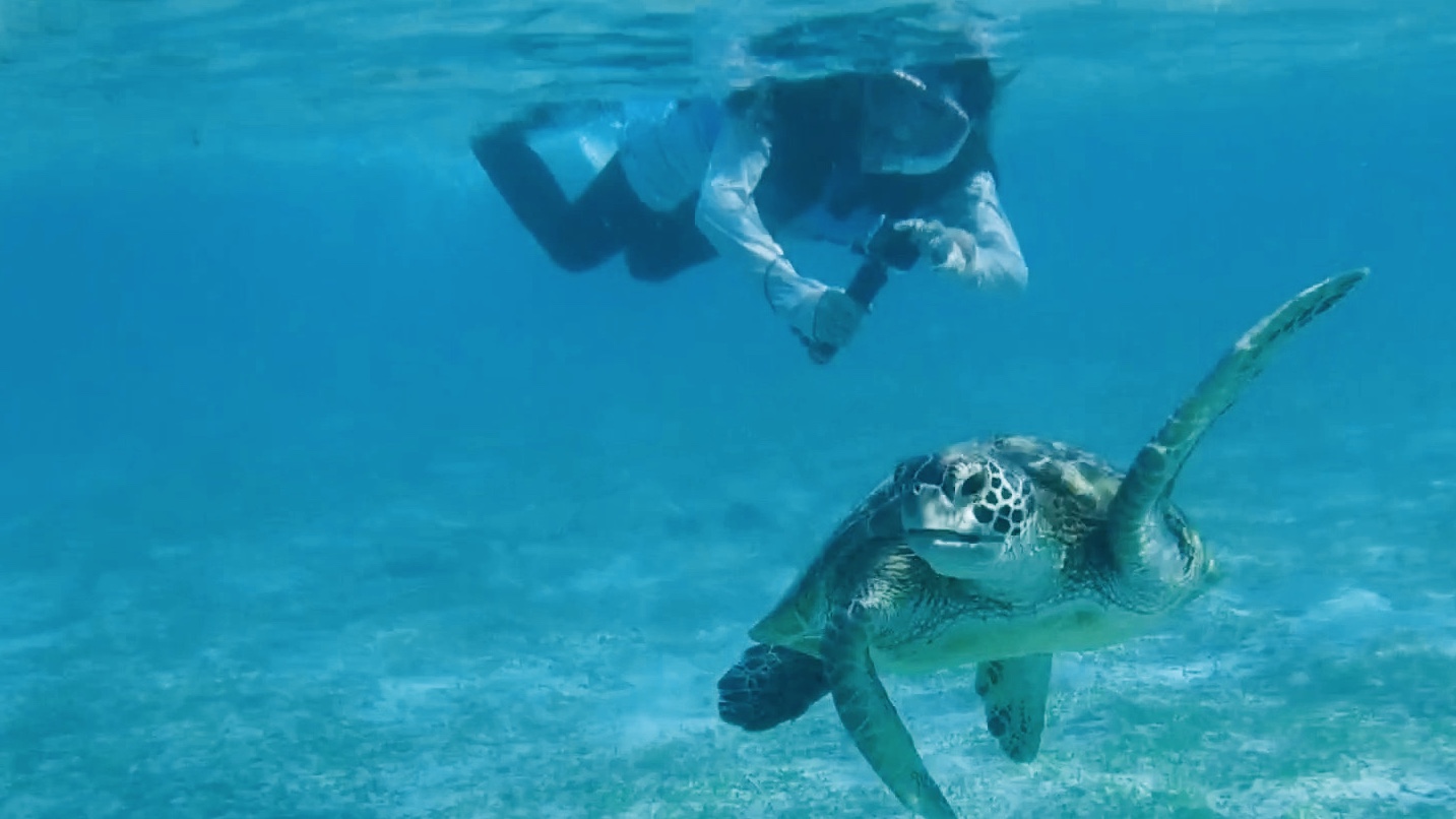 シュノーケルツアー