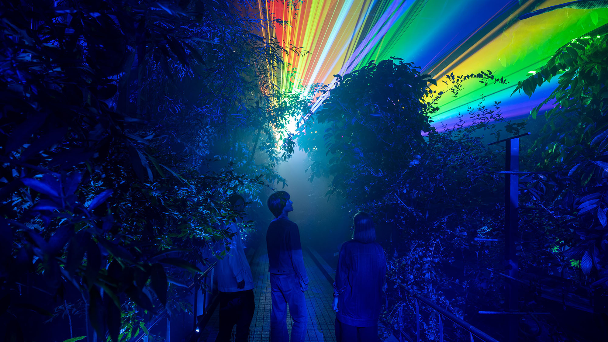 京都府立植物園「LIGHT CYCLES KYOTO」入場券付きプラン（朝食付き）