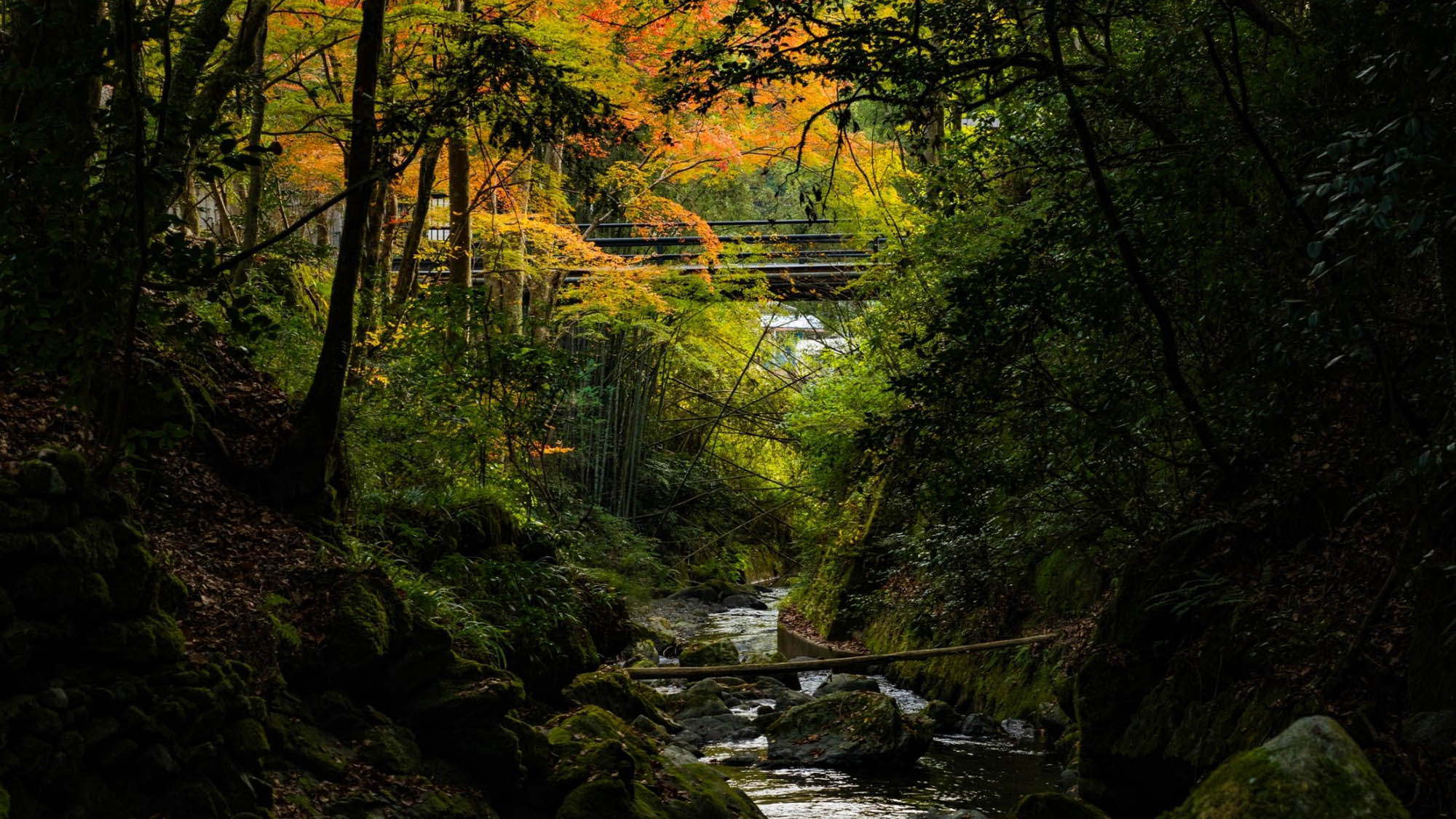 くらま温泉　イメージ