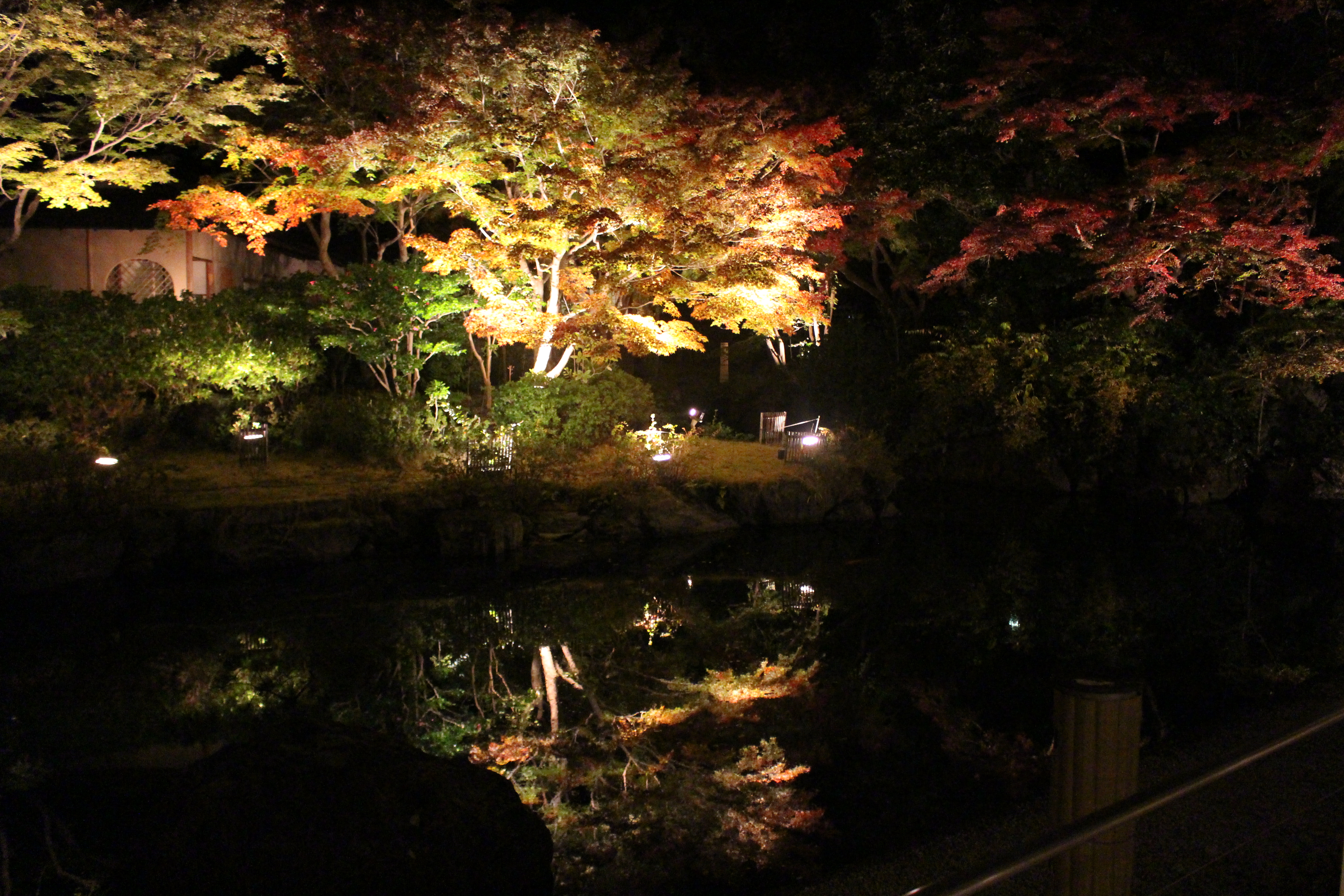 2023秋の様子(茶寮前庭園)