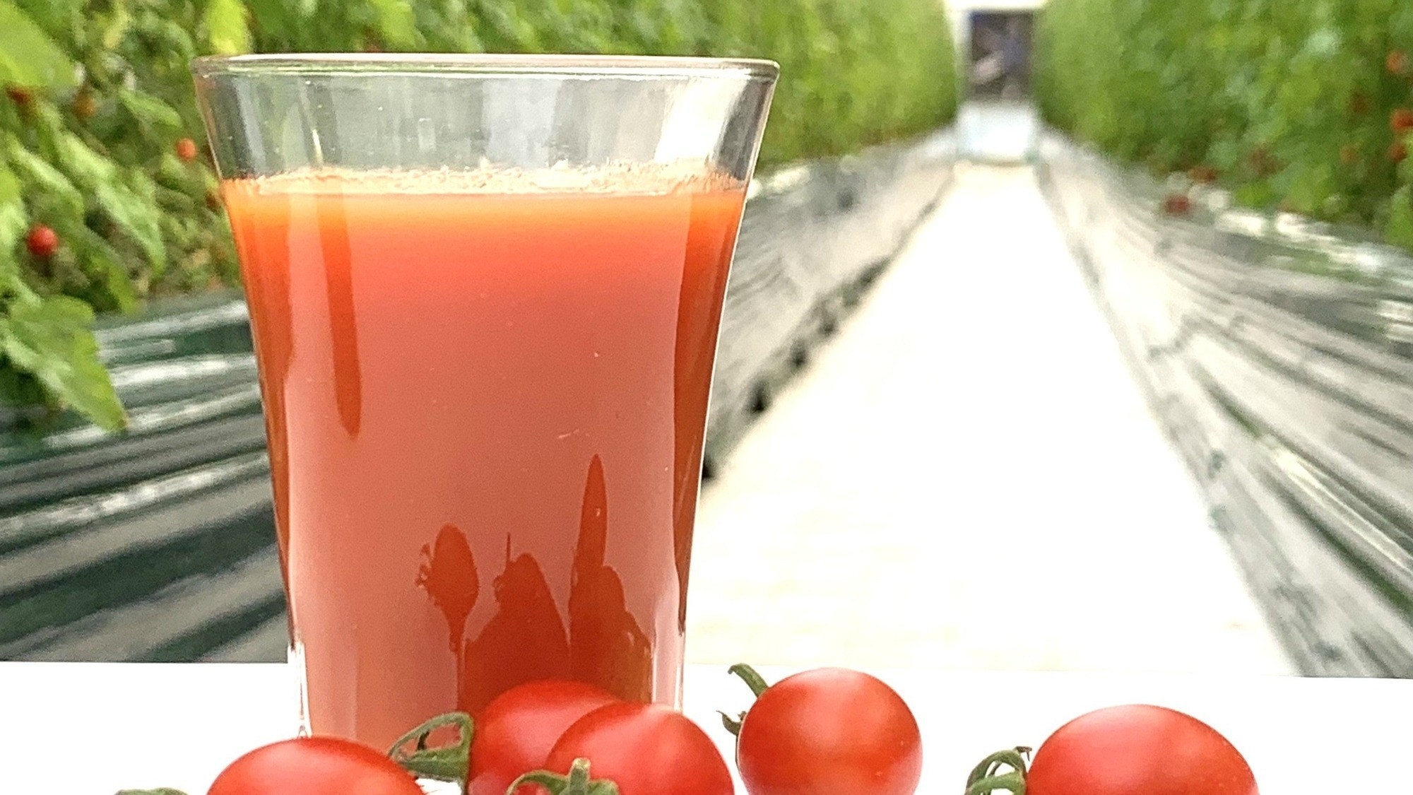 【ハレノヒトマト100％トマトジュース】眠りをいざなう「快眠」レイト12時付き＜ブッフェ朝食付＞