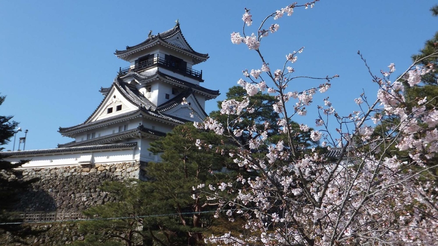 ・【高知城】桜の名所としても有名です。当館より徒歩約15分