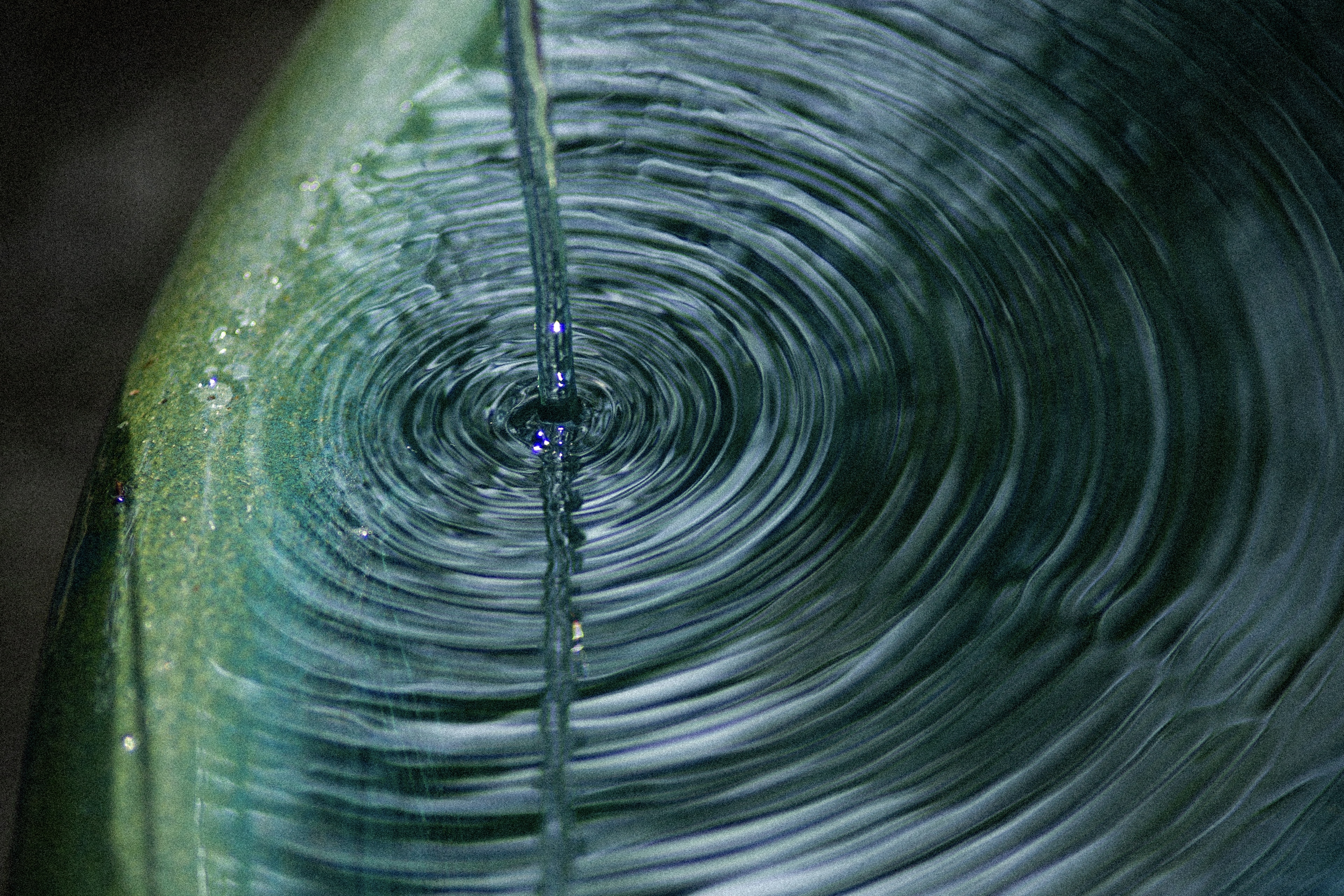 Swallow専用サウナ ハルモニア水風呂