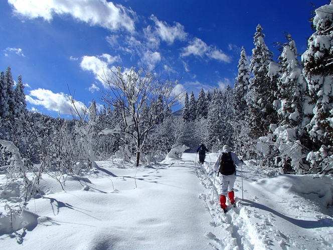【冬】歩くスキーツアー