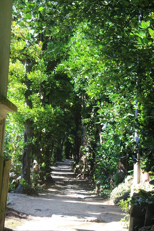 写真7