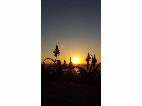 写真3