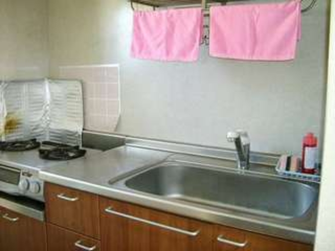 シンプルな作りのキッチン、食器洗い洗剤、スポンジも付いています。