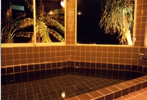 Jal国内線 マイルがたまる国内ホテル一括検索 オーシャンガーデン ブルーヘヴン 静岡県 白浜 爪木崎 Jal国内線 マイルがたまる国内ホテル一括検索 オーシャンガーデン ブルーヘヴン 静岡県 白浜 爪木崎