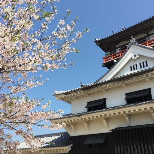 【観光】川之江城 と 桜 と 青空