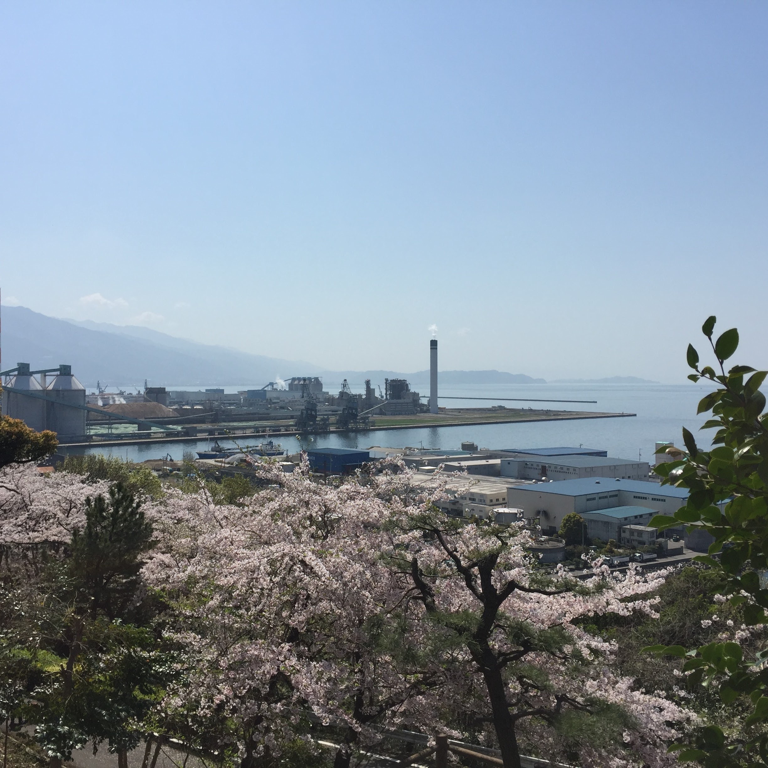 ホテルセレクトイン四国中央 写真・動画