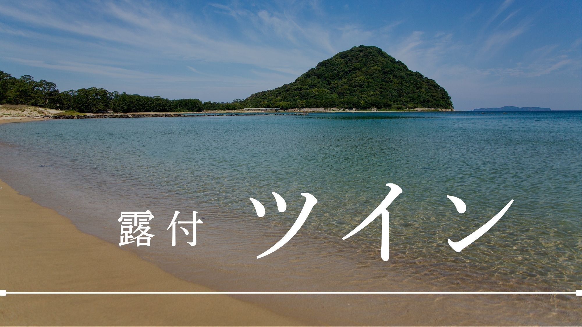 【天然温泉 露天風呂付 ツイン】