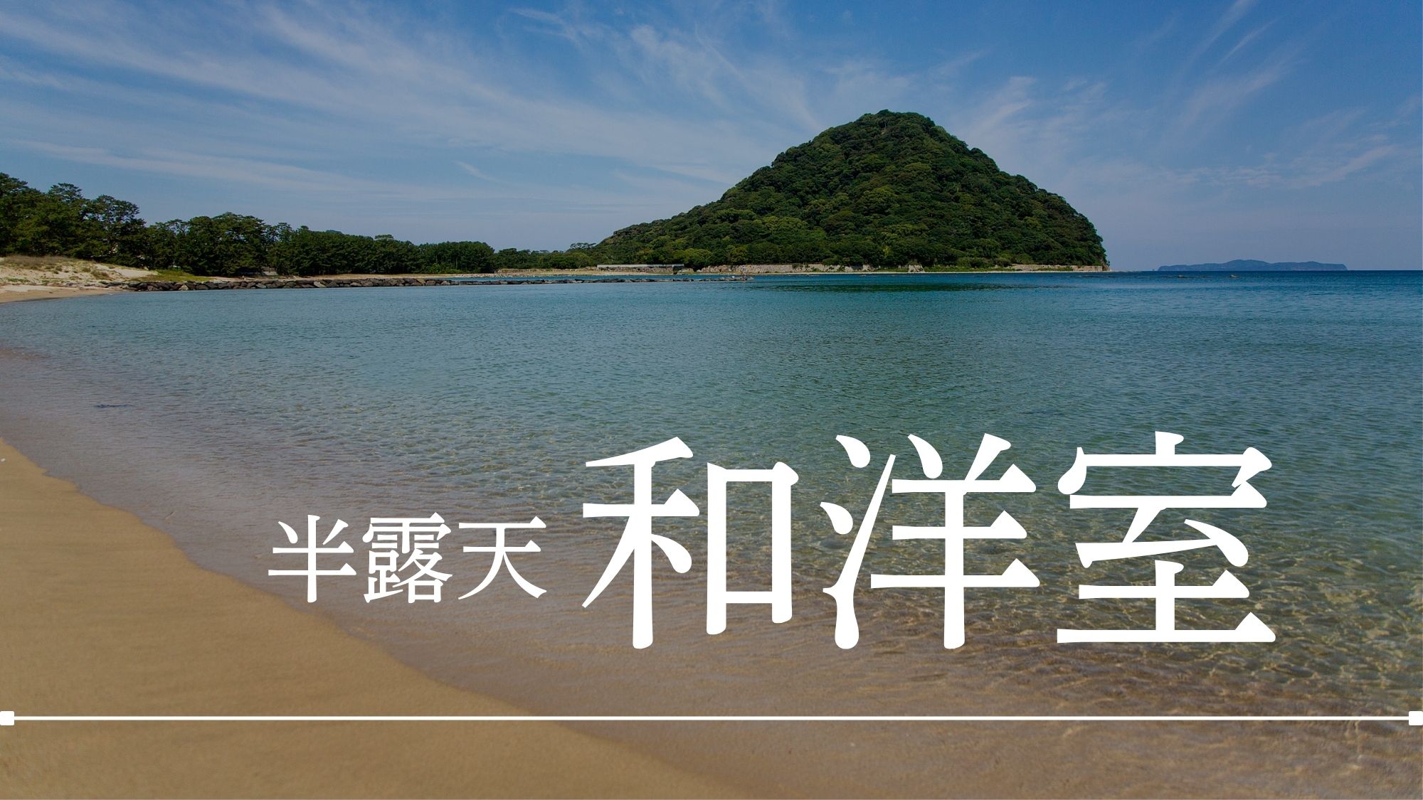 【オーシャンビュー半露天風呂付和洋室】