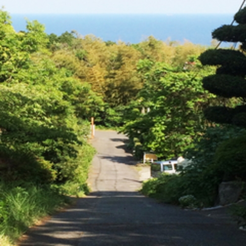 海を眺めながらのお散歩に最適♪