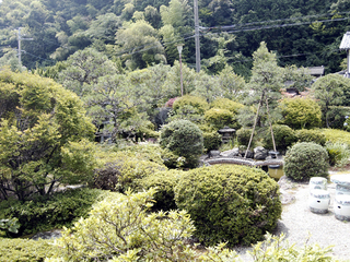 主人の体調が万全でなく、管理が行き届いていませんが、心なごむ庭園です。