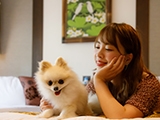 【楽天トラベルサマーSALE】夕食飲み放題付き愛犬と一緒の夜を愉しむプラン