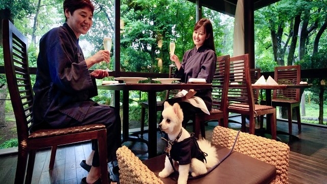 【楽天スーパーSALE】10％OFF　夕食飲み放題付き愛犬と一緒の夜を愉しむプラン