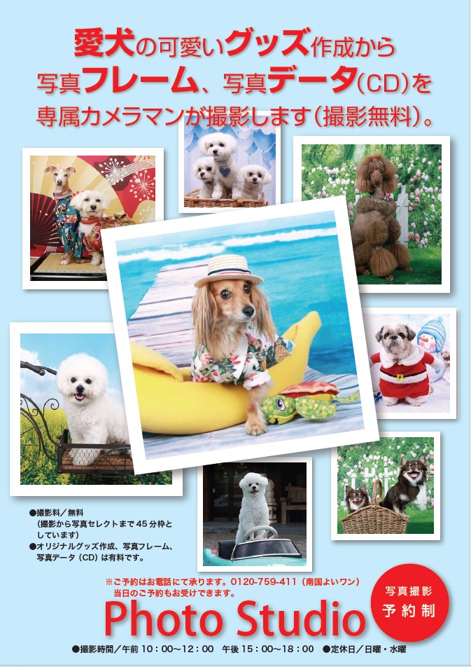 フォトスタジオ