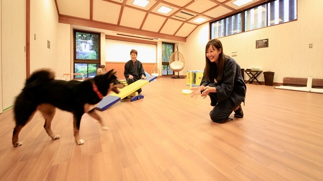 室内ドッグラン