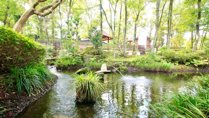 館内の池