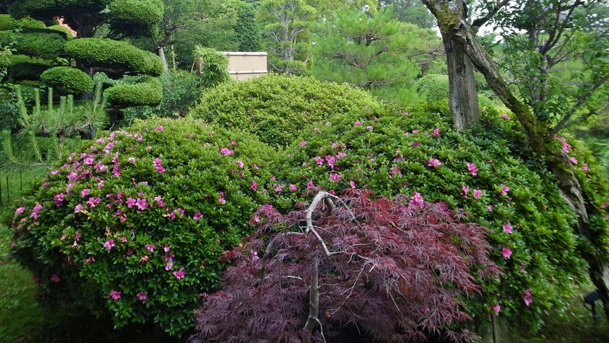 *庭園／季節の草花を眺めるのも楽しみのひとつ。