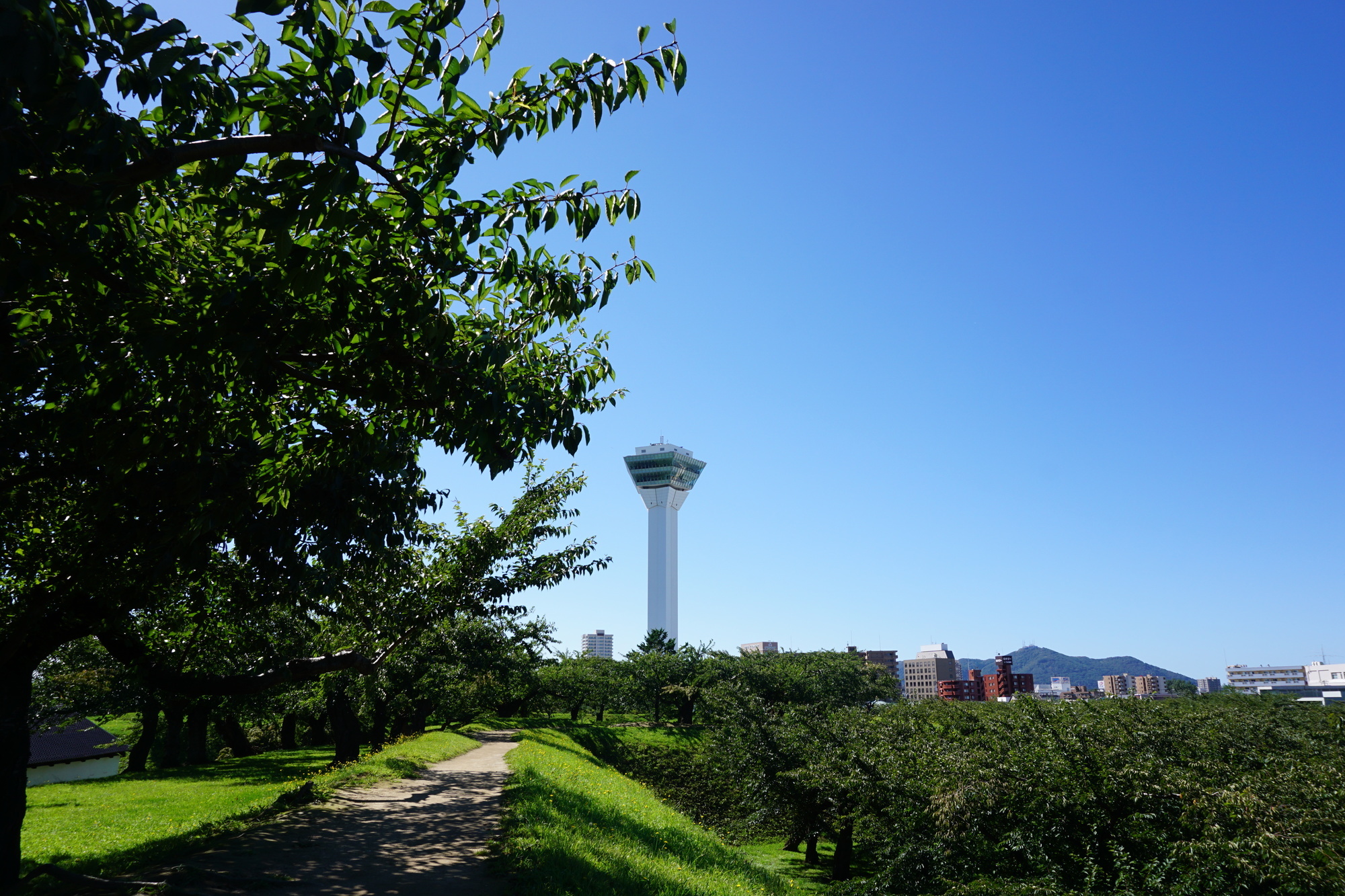 五稜郭タワーと函館山～特別史跡五稜郭公園からの景色
