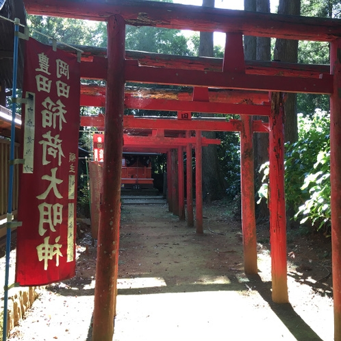 赤い鳥居が映えます