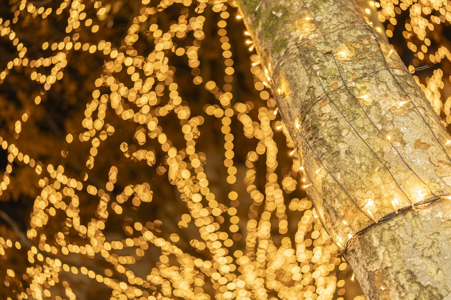 《ウェルカムドリンク1杯付き》【素泊まり】館内イルミネーション絶景スポットで乾杯！